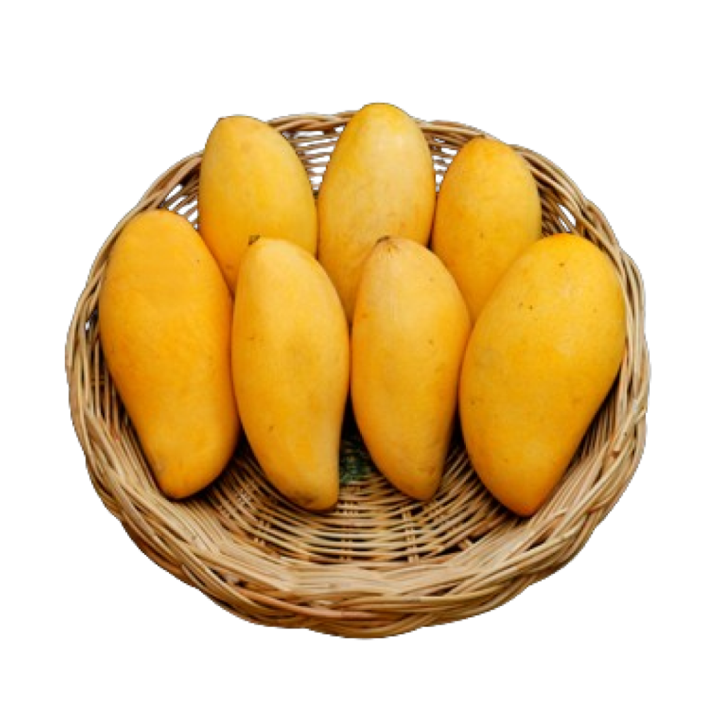 mANGO-BASKET